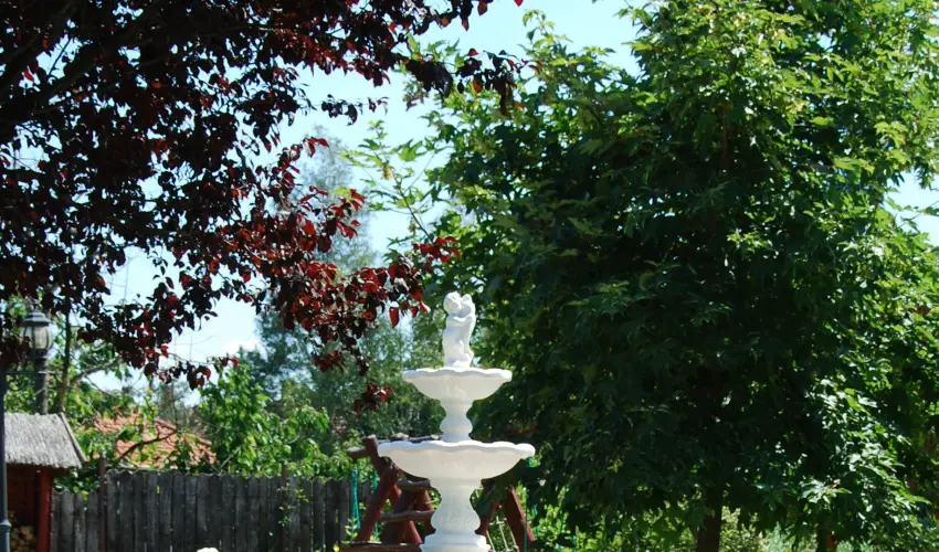 Bacchus Panzi Eger - Pnksd (min. 2 j)