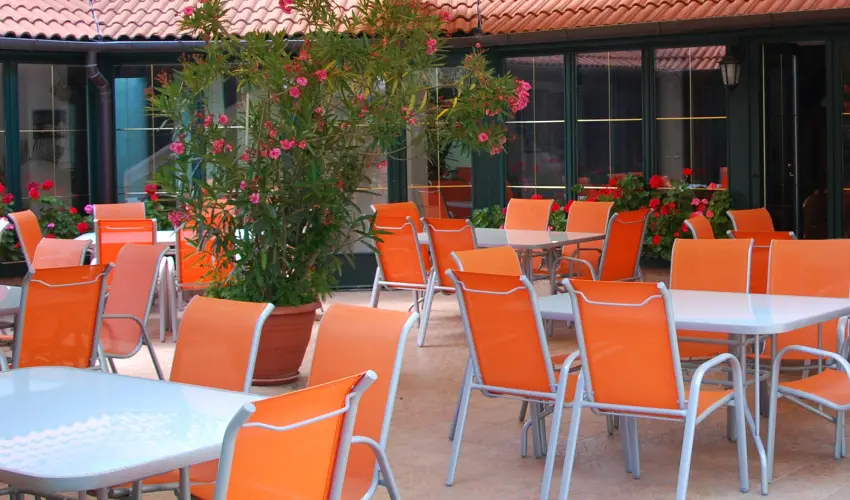 Bacchus Panzi Eger - Pnksd (min. 2 j)