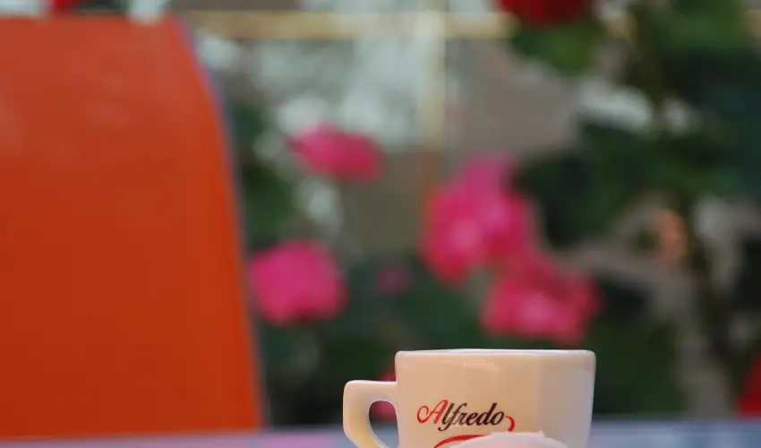 Bacchus Panzi Eger - Pnksd (min. 2 j)