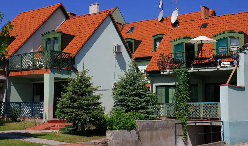 Bacchus Panzi Eger - Pnksd (min. 2 j)