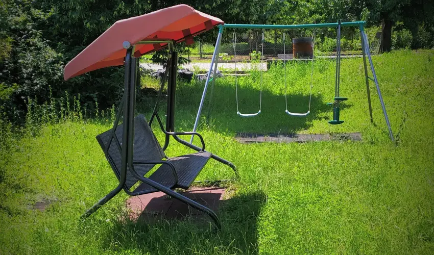 Bacchus Panzi Eger - Pnksd (min. 2 j)