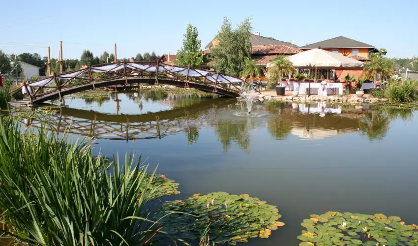 Bagolyvr Inrcs Inrcs - Pnksd 