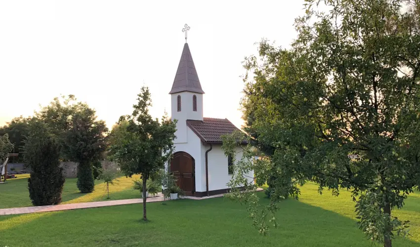 Bagolyvr Inrcs Inrcs - Pnksd 