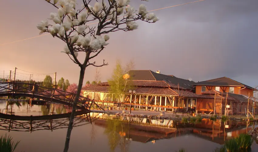 Bagolyvr Inrcs Inrcs - Pnksd 