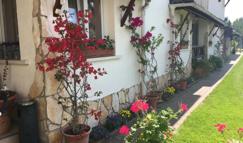 Bagolyvr Inrcs Inrcs - Pnksd 