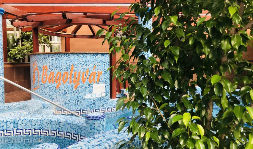 Bagolyvr Inrcs Inrcs - Pnksd 