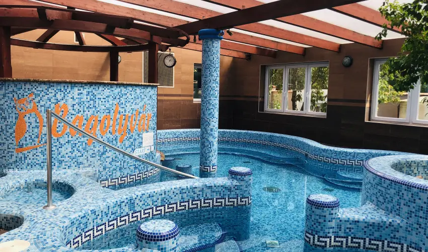 Bagolyvr Inrcs Inrcs - Pnksd 