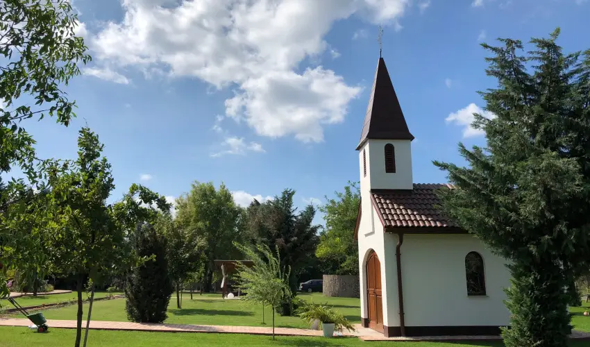 Bagolyvr Inrcs Inrcs - Pnksd 