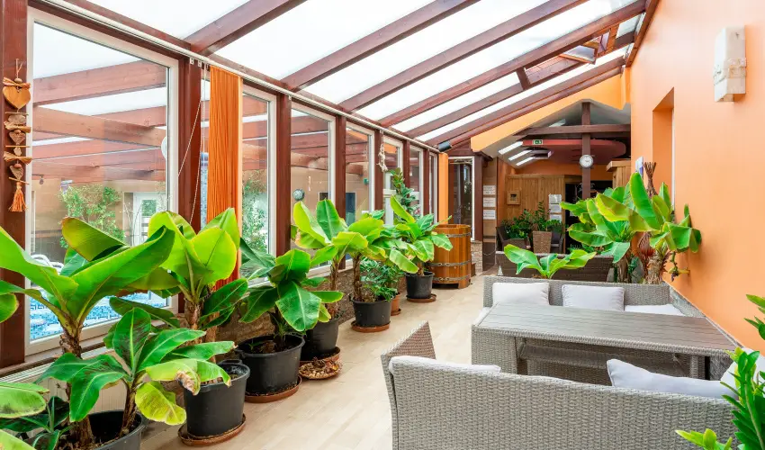 Bagolyvr Inrcs Inrcs - Pnksd 