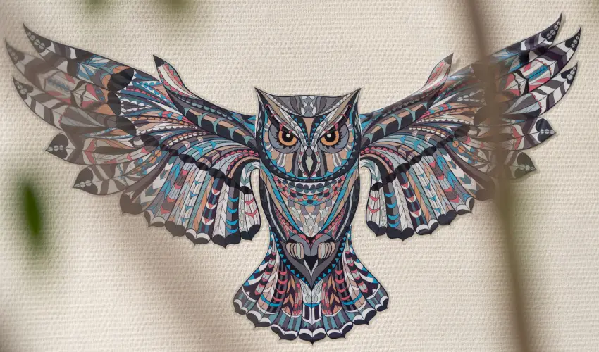 Bagolyvr Inrcs Inrcs - Pnksd 