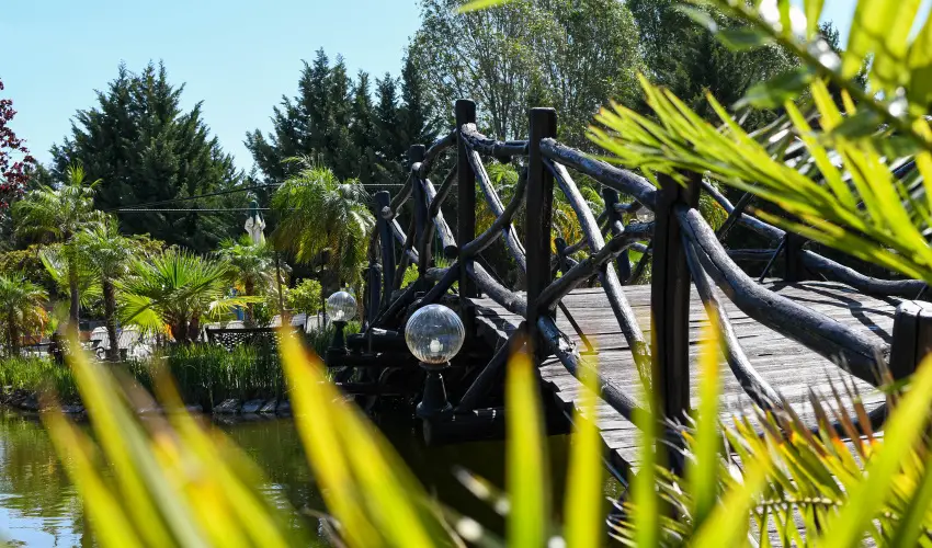 Bagolyvr Inrcs Inrcs - Pnksd 