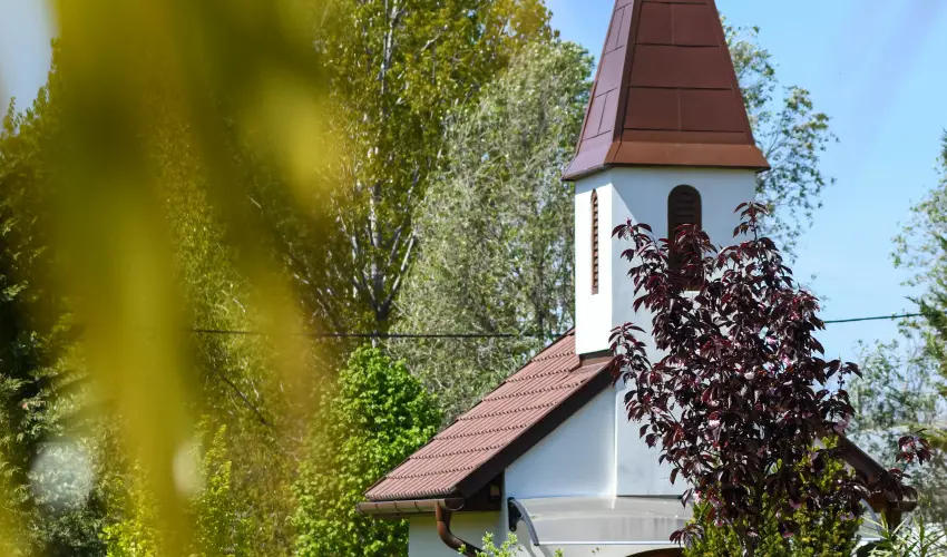 Bagolyvr Inrcs Inrcs - Pnksd 