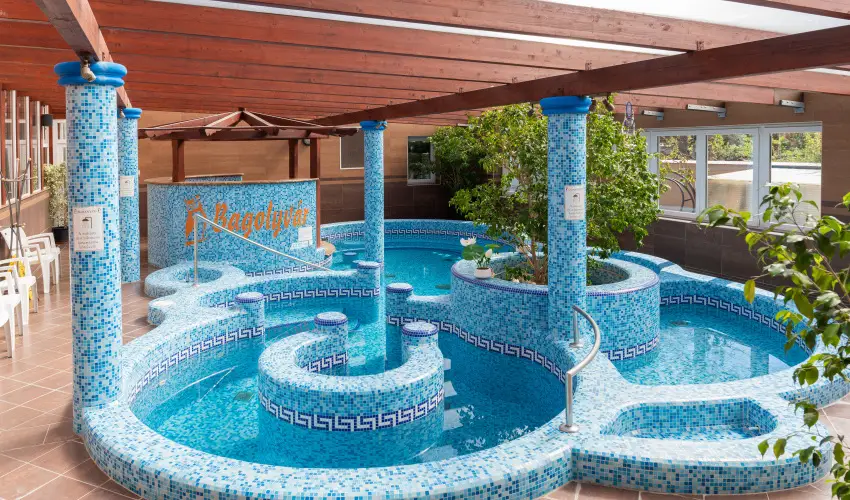 Bagolyvr Inrcs Inrcs - Pnksd 