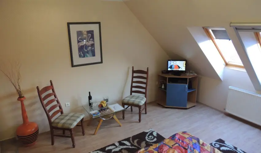 Bajor Panzi Aparthotel Bk, Bkfrd - Pnksd 