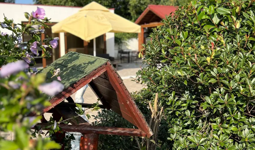 Bajor Panzi Aparthotel Bk, Bkfrd - Pnksd 