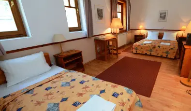 Hotel Bakony Bakonybl