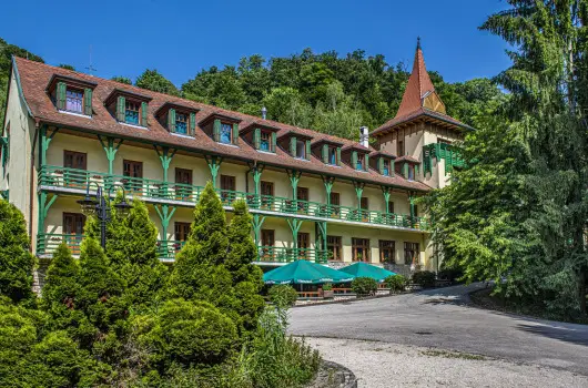 Hotel Bakony - P�nk�sd