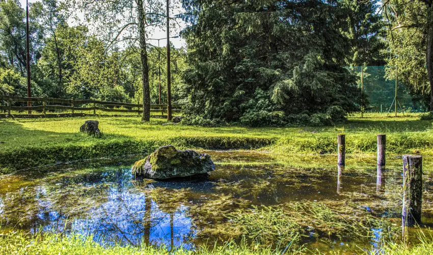 Hotel Bakony Bakonybl - Pnksd (min. 2 j)