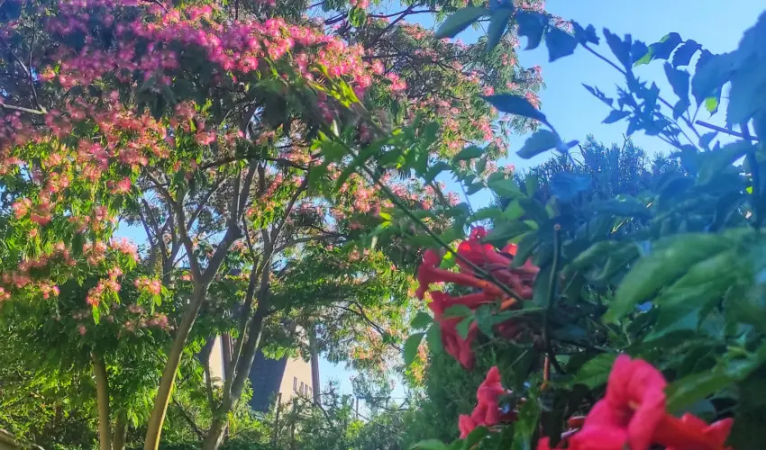 Balla Apartmanhz Sifok - Pnksd (min. 2 j)