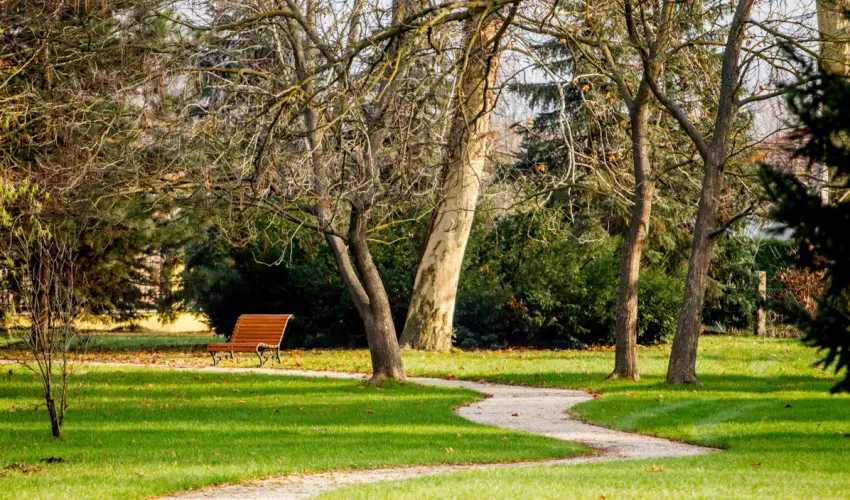 Batthyny Kria Zalacsny - Pnksd (min. 3 j)