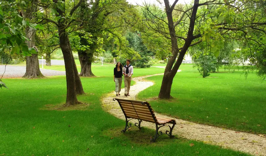 Batthyny Kria Zalacsny - Pnksd (min. 3 j)