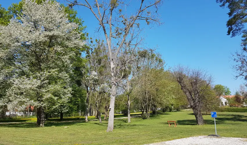 Batthyny Kria Zalacsny - Pnksd (min. 3 j)