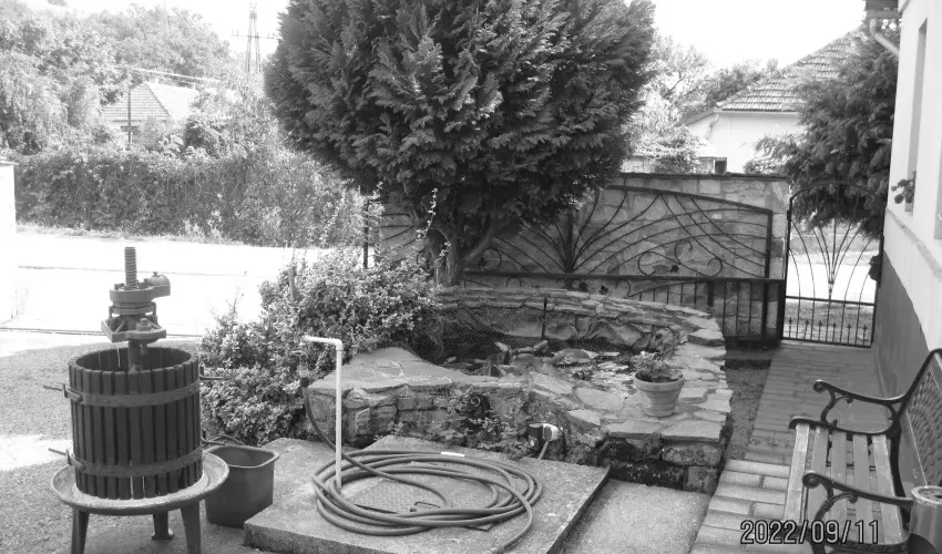 B�nyei Fogad� �s �tterem Erd�b�nye - P�nk�sd 