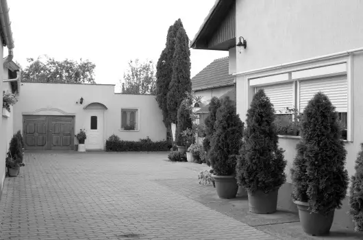 Betti Motel - Pnksd