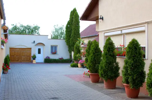 Betti Motel - Pnksd