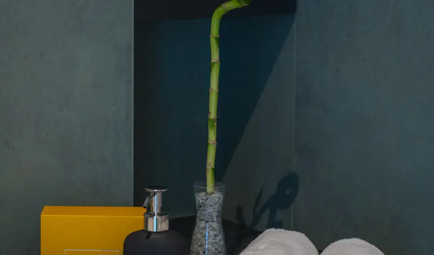 BJ81 Suite Hotel Sifok - Pnksd (min. 3 j)