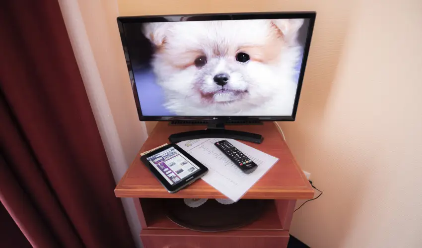 Boglrka Panzi-tterem  Mezkvesd - Pnksd (min. 2 j)