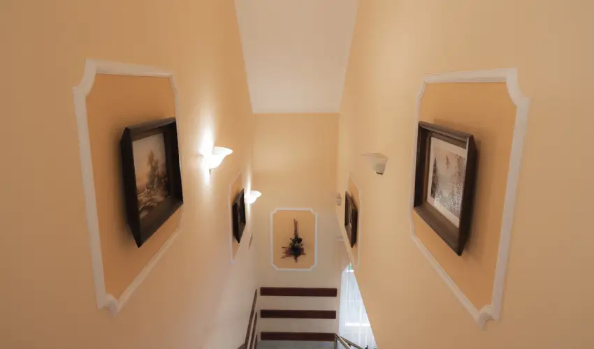 Boglrka Panzi-tterem  Mezkvesd - Pnksd (min. 2 j)