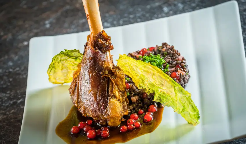 Bonvital Wellness & Gastro Hotel Hvz Hvz - Pnksd