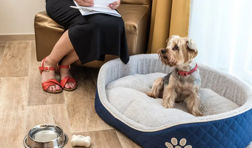 Bonvital Wellness & Gastro Hotel Hvz Hvz - Pnksd