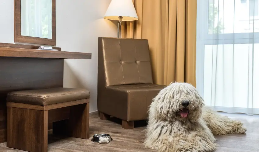 Bonvital Wellness & Gastro Hotel Hvz Hvz - Pnksd