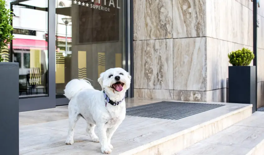 Bonvital Wellness & Gastro Hotel Hvz Hvz - Pnksd