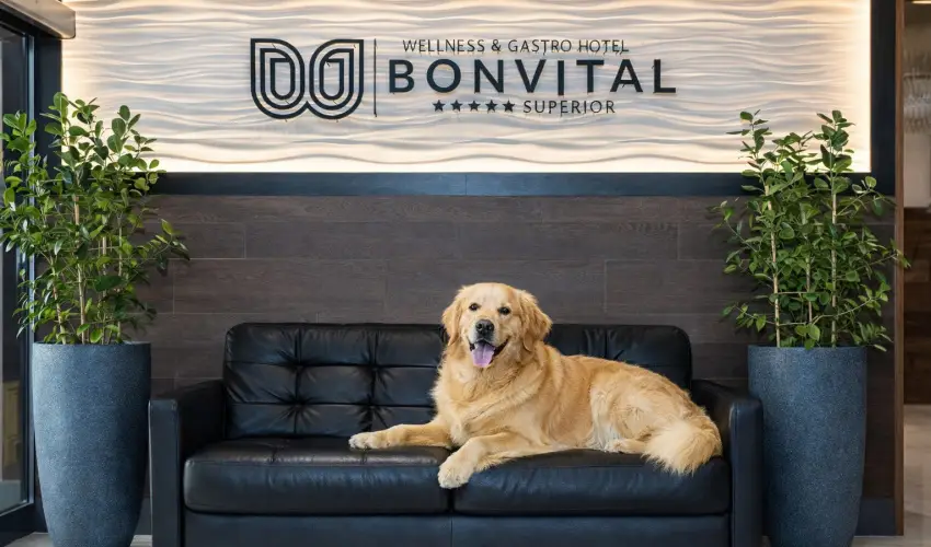 Bonvital Wellness & Gastro Hotel H�v�z H�v�z - P�nk�sd