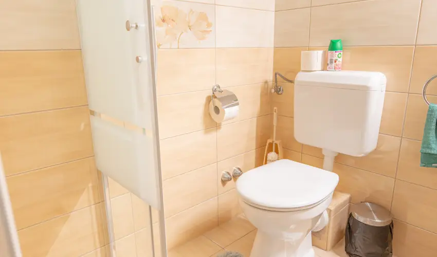 Borb�la Vend�gh�z Gyenesdi�s - P�nk�sd (min. 2 �j)