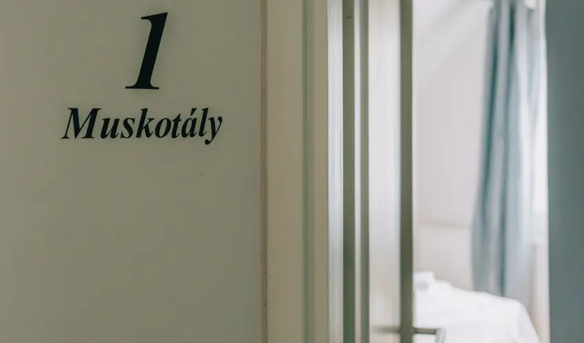 Borbartok Panzi Badacsonytomaj - Pnksd (min. 2 j)