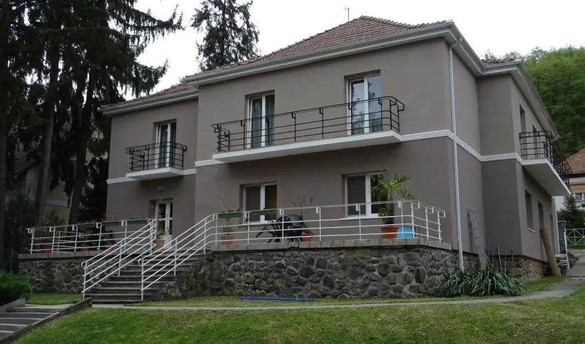 Borka Panzi Pardfrd - Pnksd