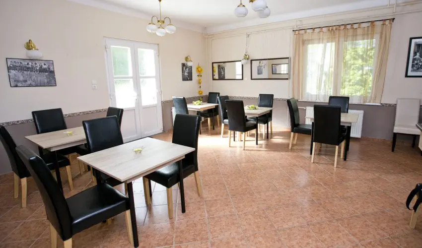 Borka Panzi Pardfrd - Pnksd