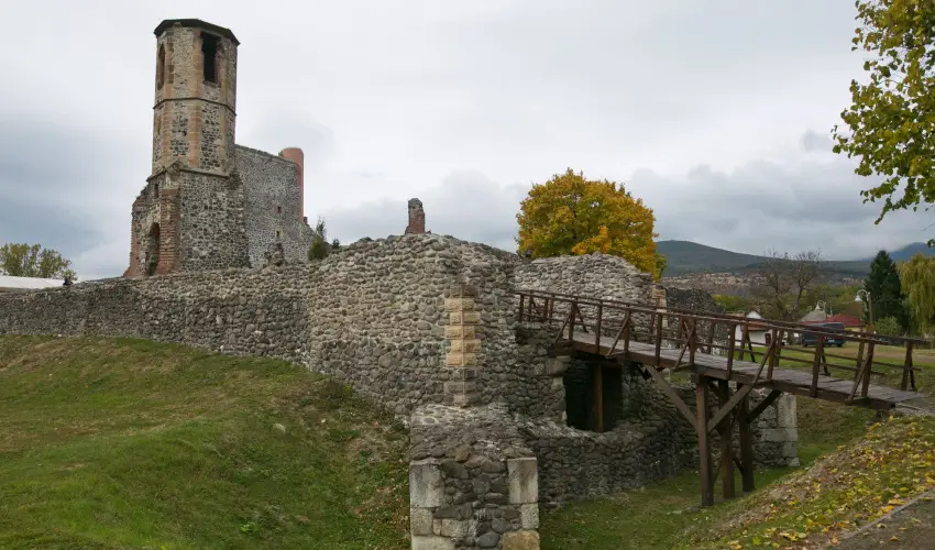 Borka Panzi Pardfrd - Pnksd