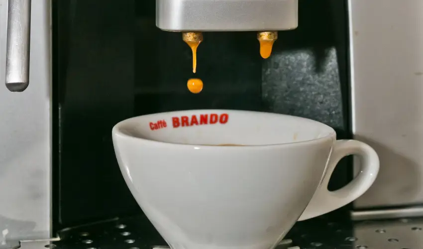 Borka Panzi Pardfrd - Pnksd