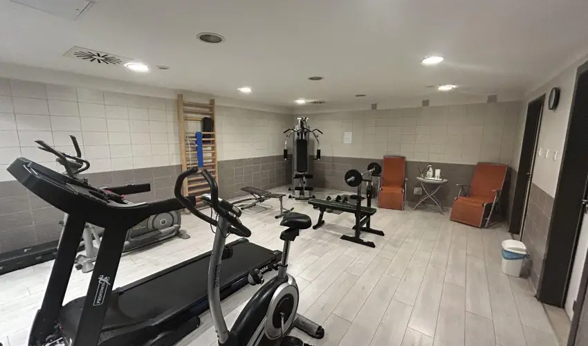 Boutique Hotel Sopianae Pcs - Pnksd 