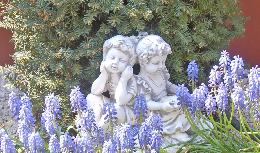 Brigitte Apartman Bük, Bükfürdő - Pünkösd