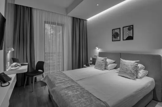 Cardoner Hotel - Pnksd