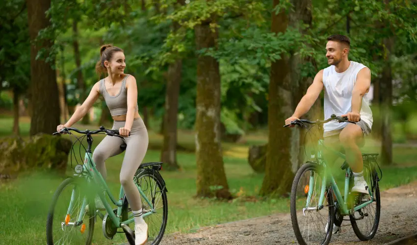 Cardoner Hotel Pilisszentkereszt - Pnksd