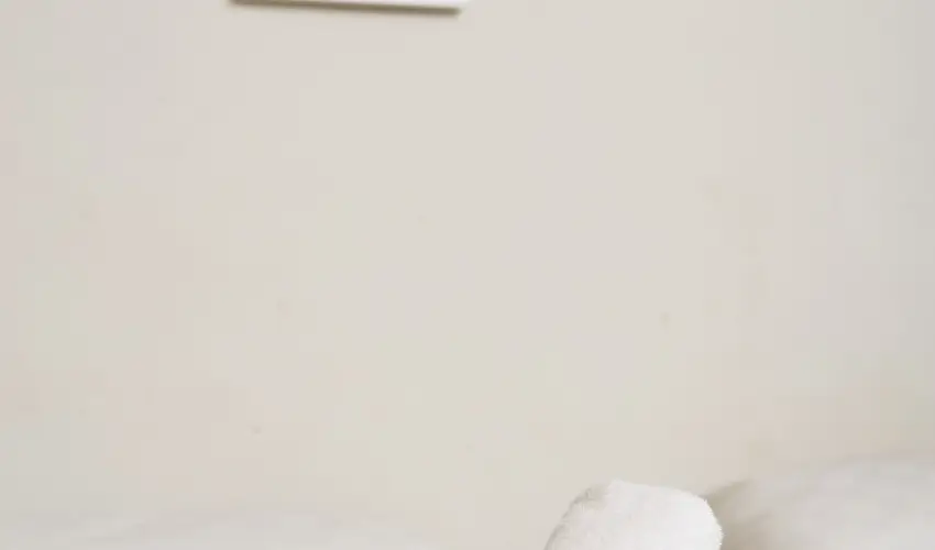 CE Napfny Hotel  Sifok - Pnksd