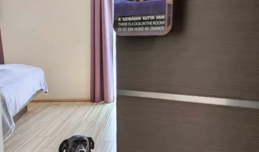 CE Plaza Hotel Si�fok - P�nk�sdi hossz� h�tv�ge Dollyval (min. 3 �j)