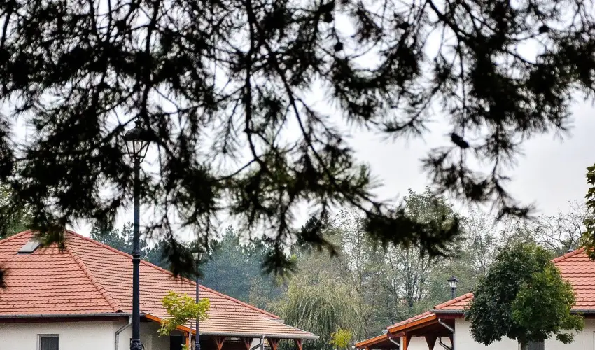 Cegl�df�rd� Apartmanpark �s Kemping Cegl�d - P�nk�sd (min. 2 �j)